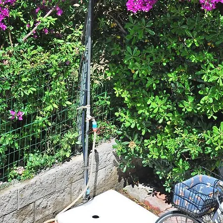 Camelia E Gabry - Zona Mare Con Posti Auto E Terrazze *